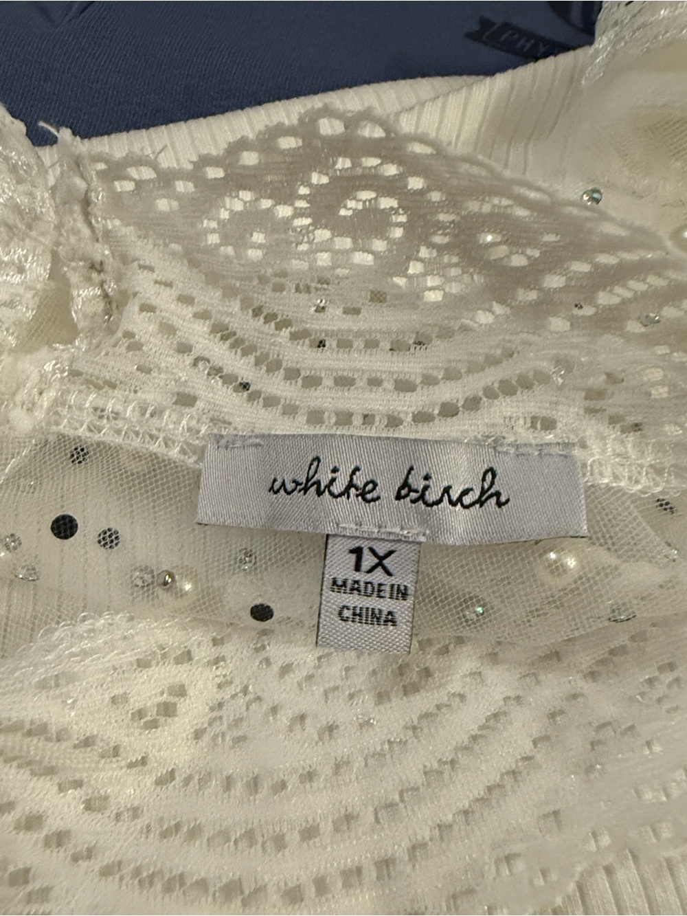 white birch Ivory Lace and Sequin Ribbed Top